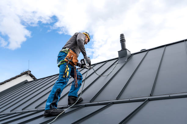 Best Roof Maintenance and Cleaning  in Gloverville, SC